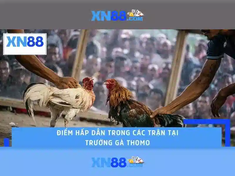 https://xn88.br.com/images/text/xn88/xn88-text2603121008.webp