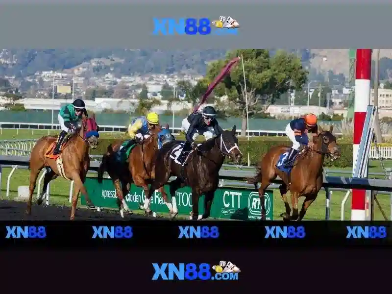 https://xn88.br.com/images/text/xn88/xn88-text2603121093.webp