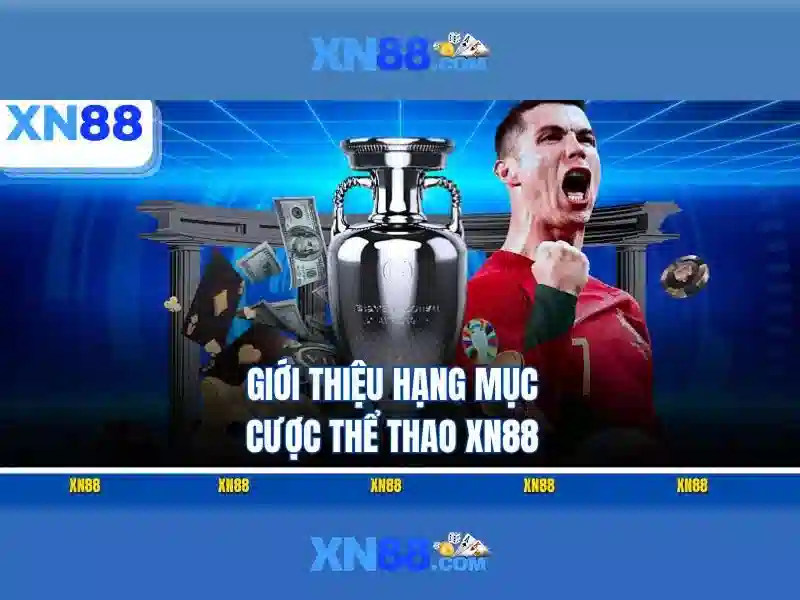 https://xn88.br.com/images/text/xn88/xn88-text2603121197.webp