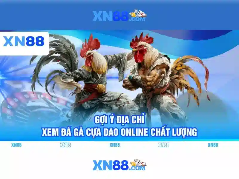 xn88: Tổng quan về nền tảng cược trực tuyến