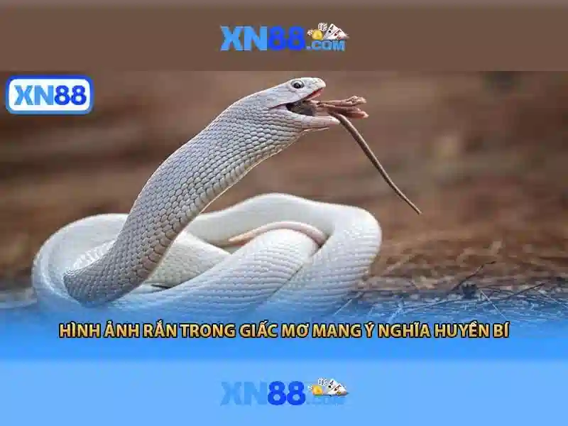 https://xn88.br.com/images/text/xn88/xn88-text2603121277.webp