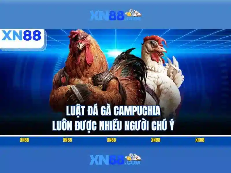 https://xn88.br.com/images/text/xn88/xn88-text2603121579.webp