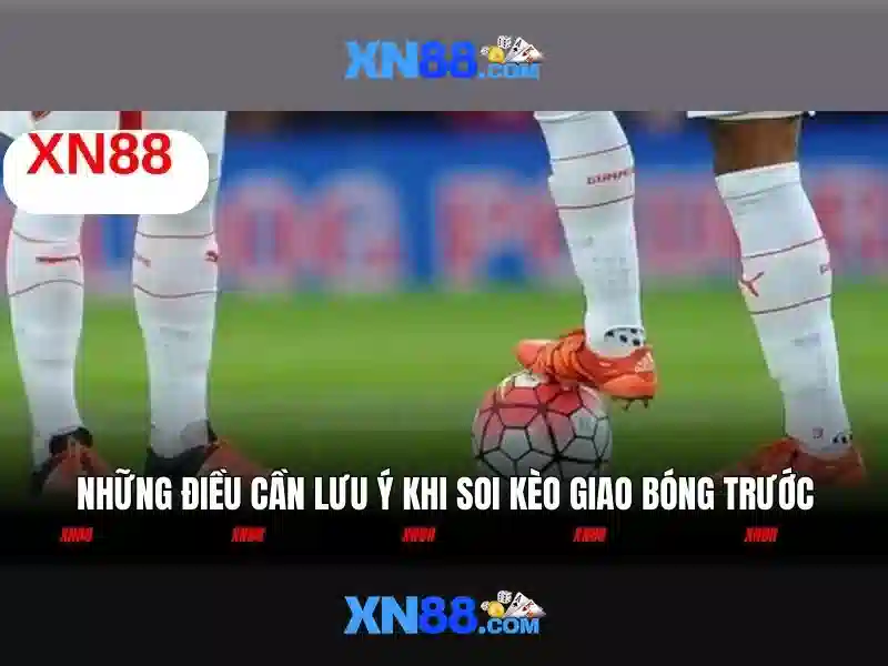 https://xn88.br.com/images/text/xn88/xn88-text2603121804.webp