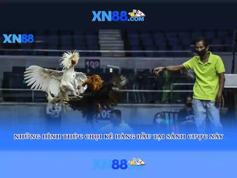 https://xn88.br.com/images/text/xn88/xn88-text2603121814.webp