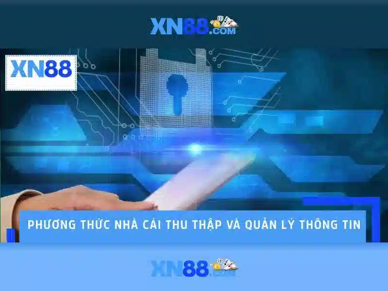 https://xn88.br.com/images/text/xn88/xn88-text2603121940.webp