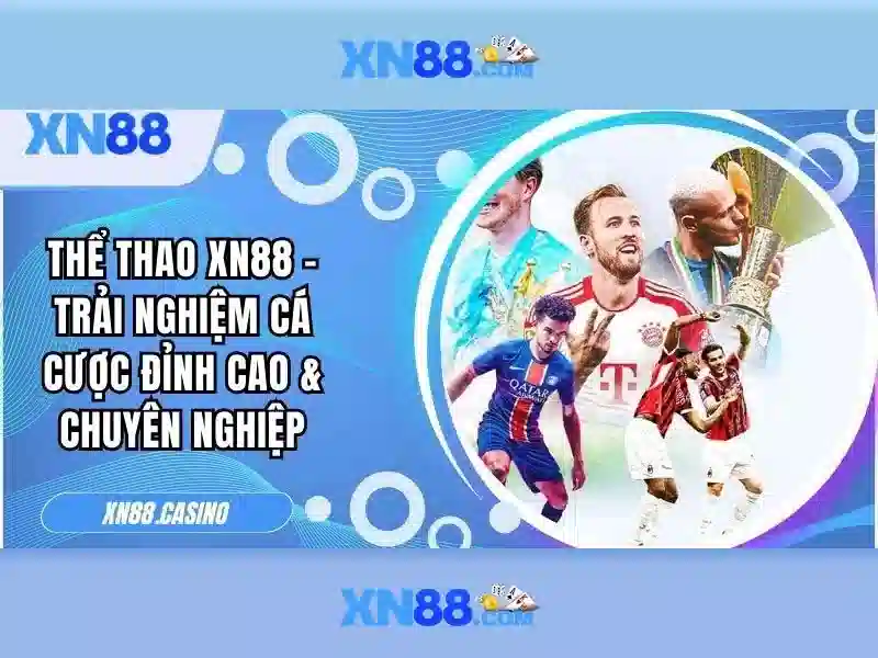 https://xn88.br.com/images/text/xn88/xn88-text2603122183.webp