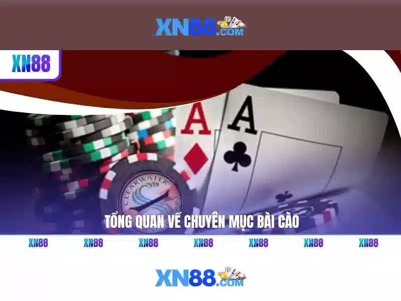 xn88 là gì và những điều bạn cần biết