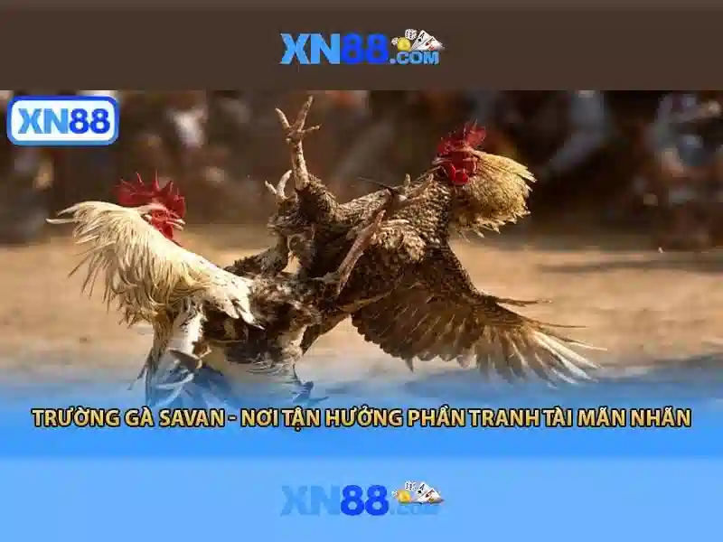 Hệ thống thu thập và xử lý dữ liệu minh bạch tại XN88