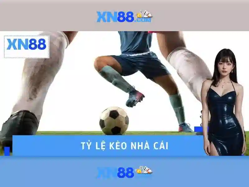 https://xn88.br.com/images/text/xn88/xn88-text2603122404.webp