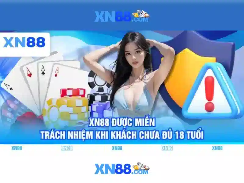 https://xn88.br.com/images/text/xn88/xn88-text2603122518.webp