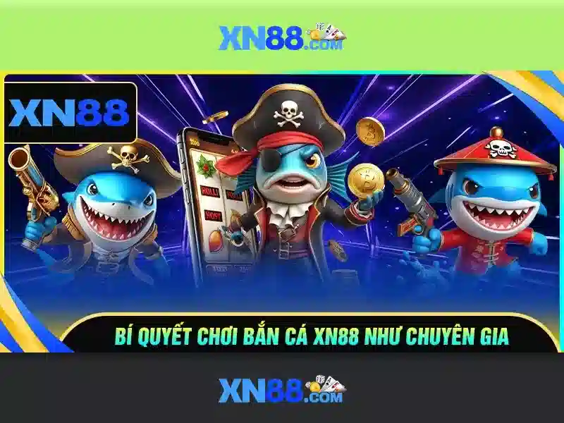 https://xn88.br.com/images/text/xn88/xn88-text260312483.webp