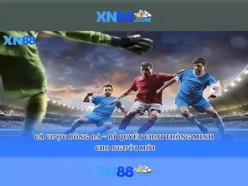 https://xn88.br.com/images/text/xn88/xn88-text260312534.webp