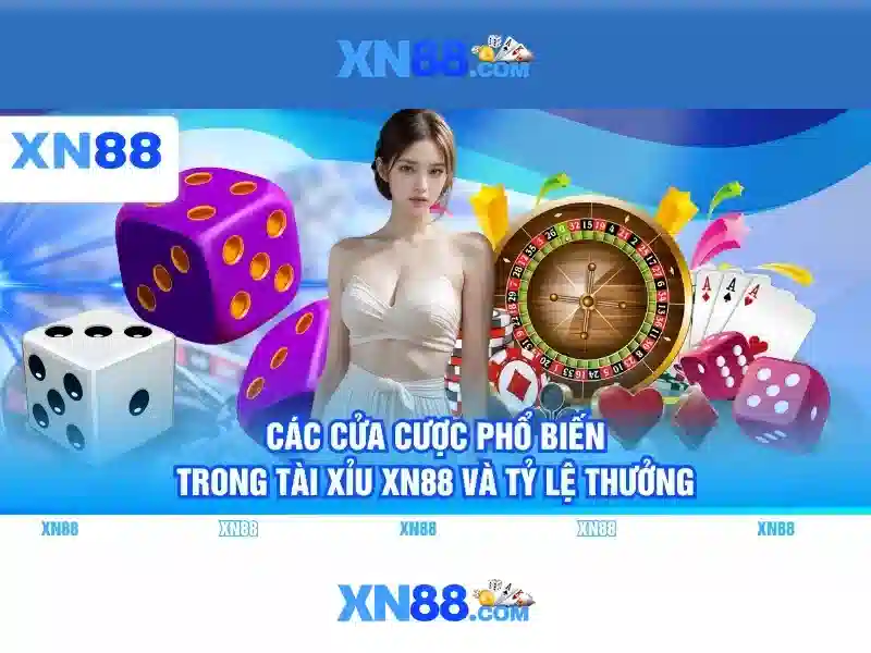 https://xn88.br.com/images/text/xn88/xn88-text260312552.webp