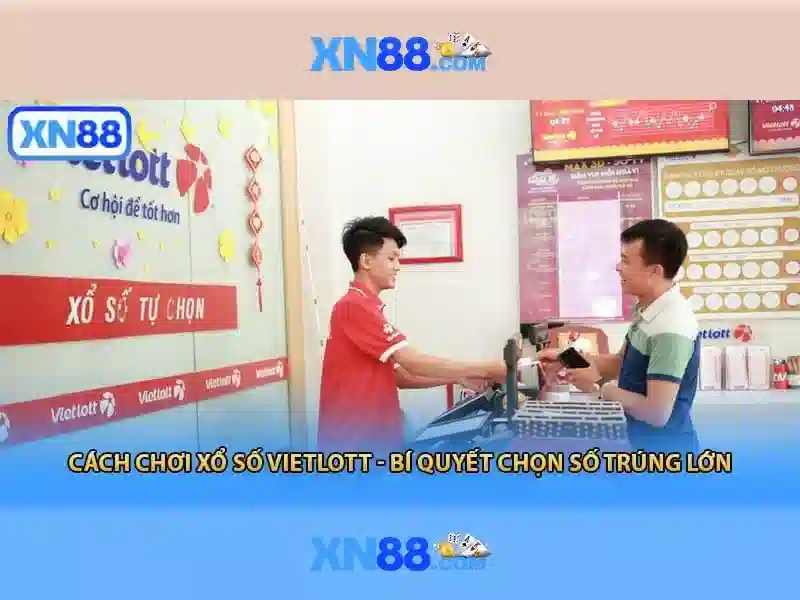 https://xn88.br.com/images/text/xn88/xn88-text260312639.webp