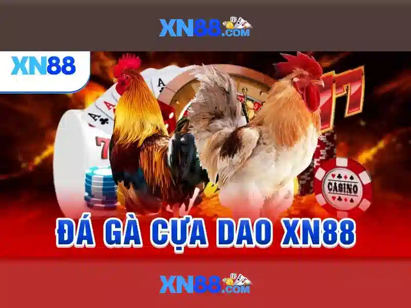 xn88: Tổng quan và hướng dẫn cho người chơi
