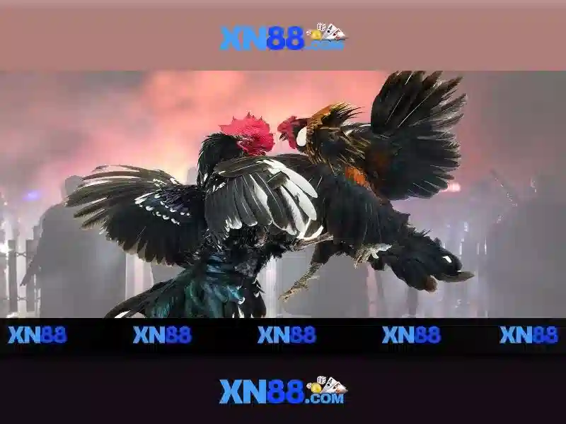 https://xn88.br.com/images/text/xn88/xn88-text260312896.webp