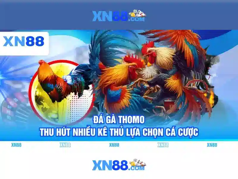https://xn88.br.com/images/text/xn88/xn88-text260312901.webp