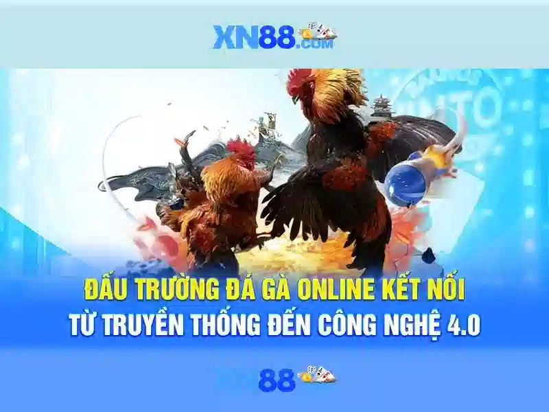 https://xn88.br.com/images/text/xn88/xn88-text260312991.webp