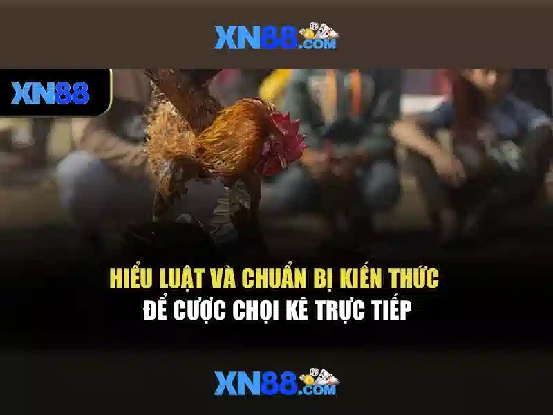 https://xn88.br.com/images/text/xn88/xn88-text2603301048.webp