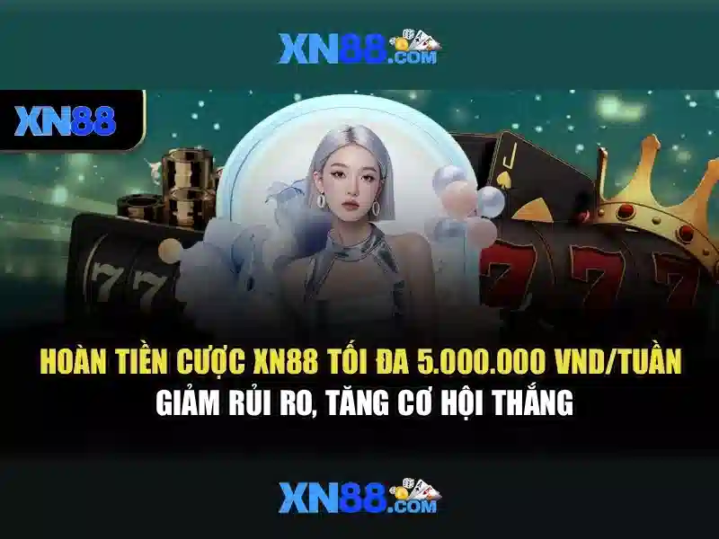 https://xn88.br.com/images/text/xn88/xn88-text2603301068.webp