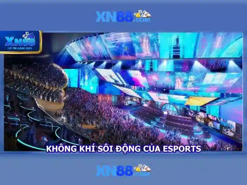 https://xn88.br.com/images/text/xn88/xn88-text2603301077.webp