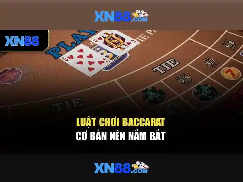 https://xn88.br.com/images/text/xn88/xn88-text2603301442.webp