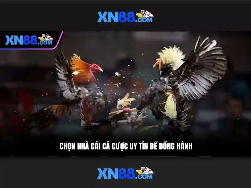 https://xn88.br.com/images/text/xn88/xn88-text2603301520.webp