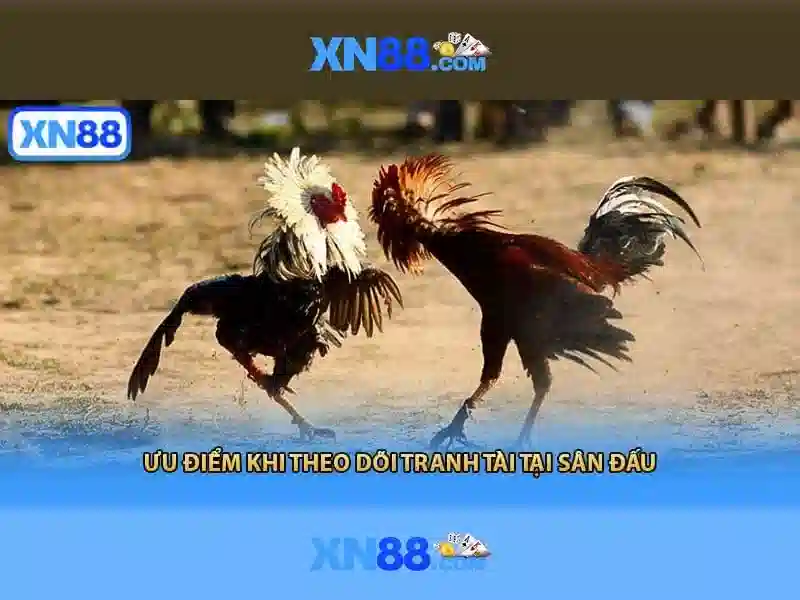 https://xn88.br.com/images/text/xn88/xn88-text2603302243.webp