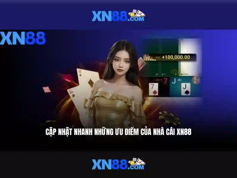https://xn88.br.com/images/text/xn88/xn88-text2603302350.webp