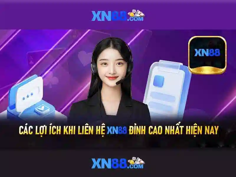 https://xn88.br.com/images/text/xn88/xn88-text26033037.webp
