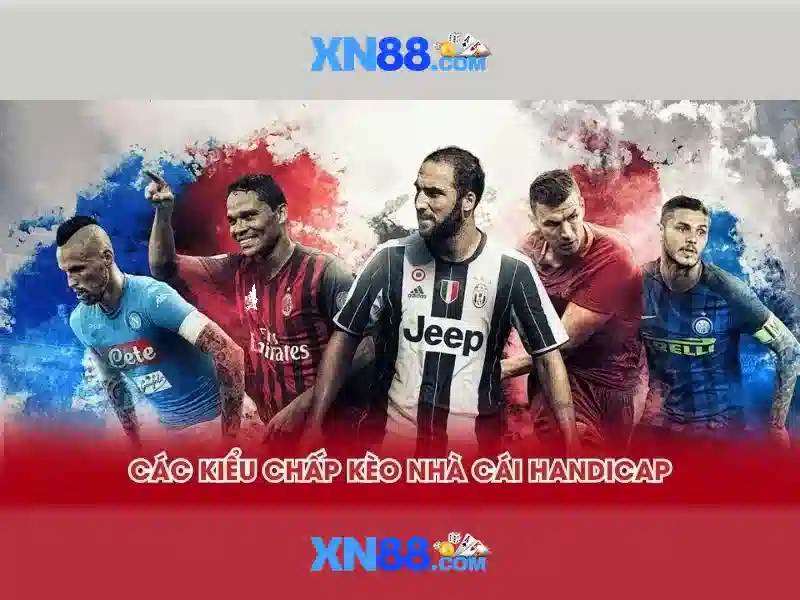 https://xn88.br.com/images/text/xn88/xn88-text260330425.webp