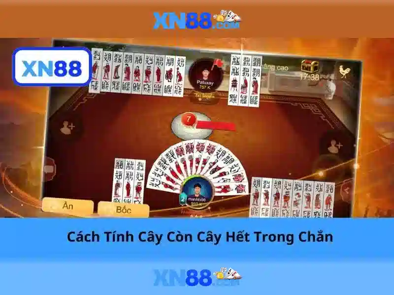 https://xn88.br.com/images/text/xn88/xn88-text260330536.webp