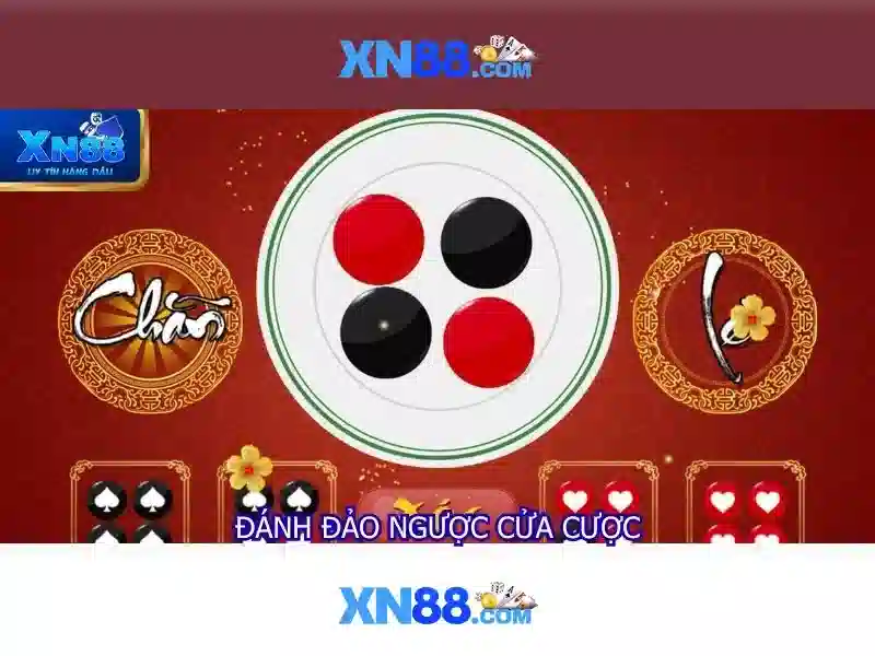 XN88: Nền tảng giải trí và cá cược an toàn