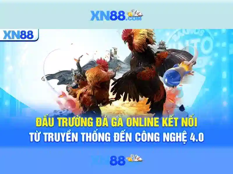 https://xn88.br.com/images/text/xn88/xn88-text260330775.webp