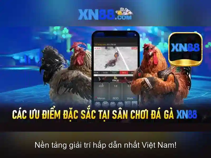 https://xn88.br.com/images/text/xn88/xn88-text260331100.webp