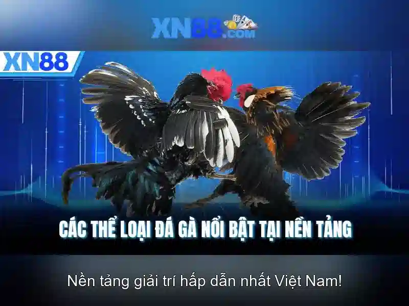 https://xn88.br.com/images/text/xn88/xn88-text2603311012.webp