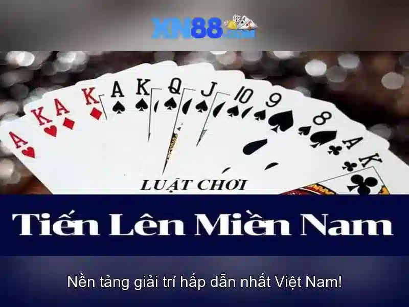 https://xn88.br.com/images/text/xn88/xn88-text2603311064.webp