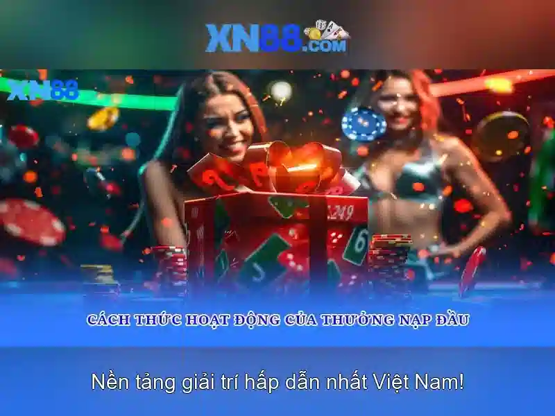 https://xn88.br.com/images/text/xn88/xn88-text2603311153.webp