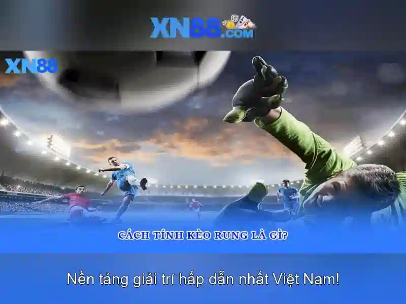 https://xn88.br.com/images/text/xn88/xn88-text2603311164.webp