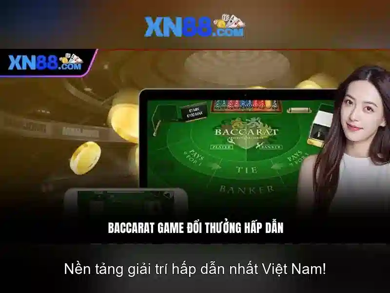 https://xn88.br.com/images/text/xn88/xn88-text2603311225.webp