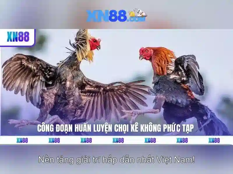 XN88 và thế giới đánh bạc trực tuyến