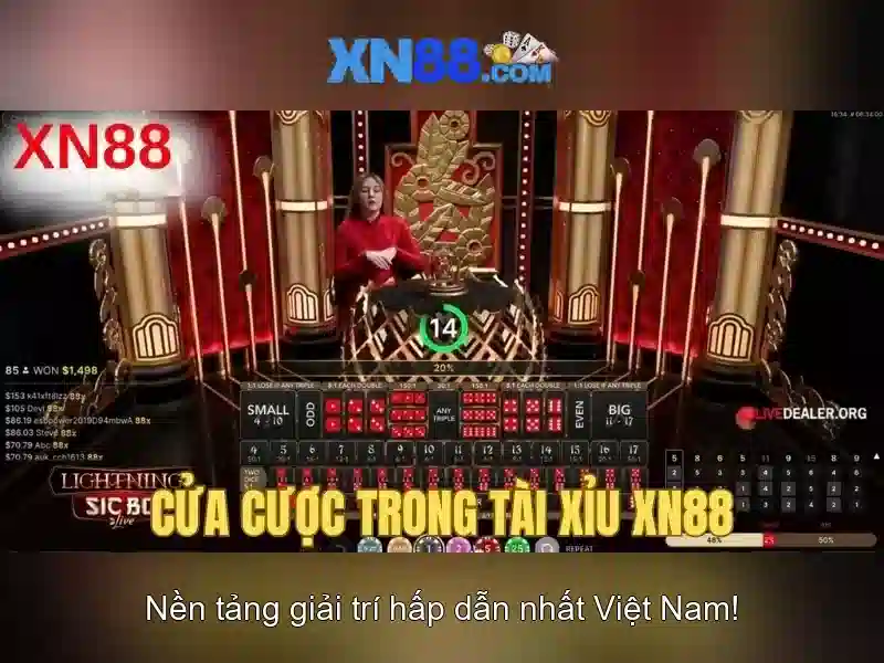 https://xn88.br.com/images/text/xn88/xn88-text2603311477.webp