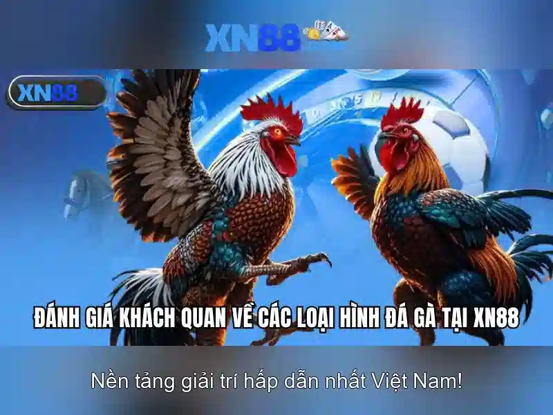 xn88: Những điều cần biết về nền tảng giải trí trên mạng