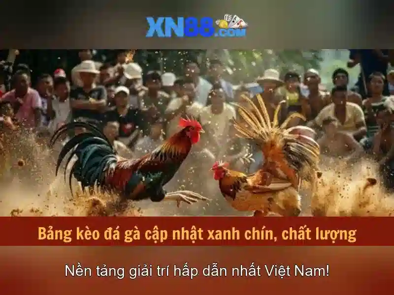 https://xn88.br.com/images/text/xn88/xn88-text2603311533.webp
