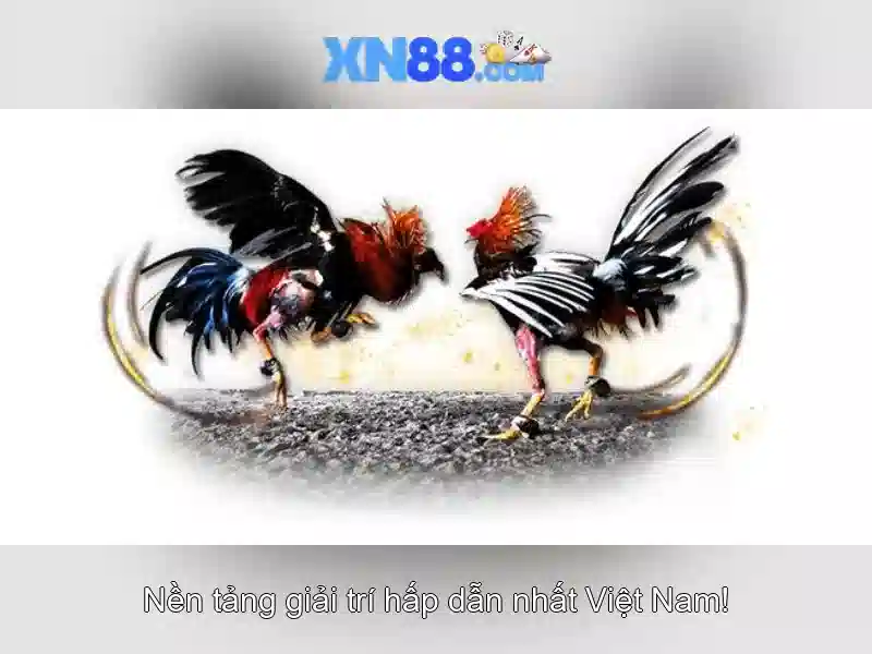 https://xn88.br.com/images/text/xn88/xn88-text2603311564.webp