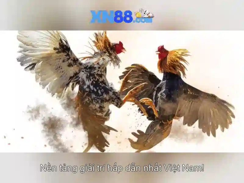 xn88: Tổng quan và đánh giá