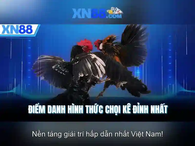 https://xn88.br.com/images/text/xn88/xn88-text2603311720.webp