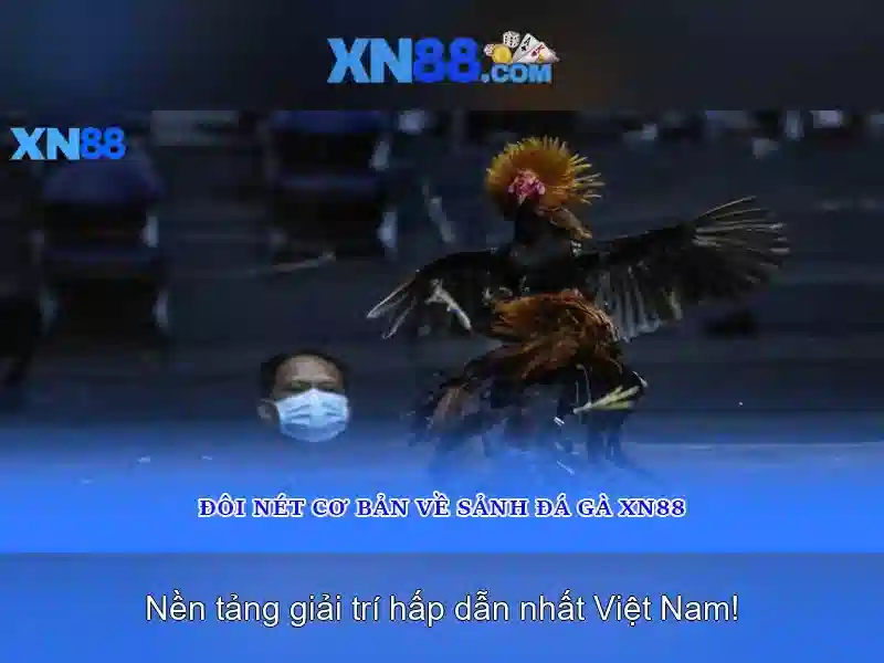 xn88: một cái nhìn tổng quan về nền tảng giải trí trực tuyến