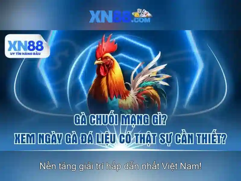 xn88 – Nền tảng giải trí trực tuyến: Tổng quan và đánh giá