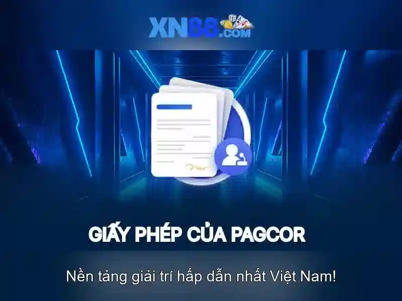 https://xn88.br.com/images/text/xn88/xn88-text2603312041.webp